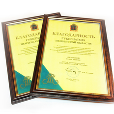 Благодарность губернатора Пензенской области