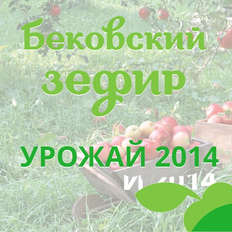 Урожай зефира 2014